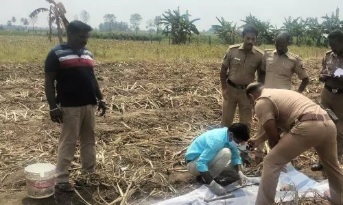 பண்ருட்டி அருகே கரும்பு தோட்டத்தில் பெண்ணின் எலும்பு கூடு பண்ருட்டி அருகே கரும்பு தோட்டத்தில் பெண்ணின் எலும்பு கூடு