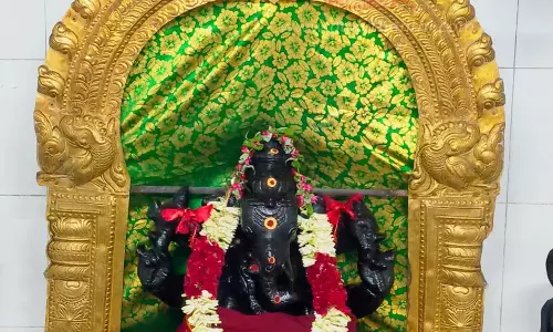 பெருந்துறை கோவில் கருவறைக்குள் சென்று  விநாயகர் சிலை பீடத்தில் அமர்ந்த காகம்   பக்தர்கள் பரவசம்