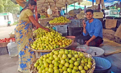 ஆயுதபூஜையை முன்னிட்டு ஈரோடு மார்க்கெட்டில்   எலுமிச்சை பழம் விலை உயர்வு