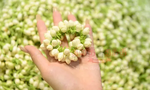 சத்தியமங்கலம் மார்க்கெட்டில் மல்லிகைப்பூ கிலோ ரூ.920-க்கு ஏலம்