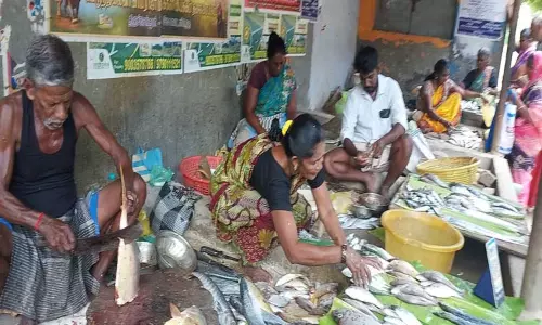 குலசேகரன்பட்டினம் தசரா திருவிழாவையொட்டி உடன்குடி மீன் மார்க்கெட்டுகள் நேற்று வெறிச்சோடி காணப்பட்டது.