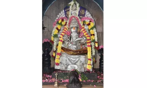 பழனி முருகன் கோவிலில் ஆனந்த விநாயகருக்கு சிறப்பு பூஜை பழனி முருகன் கோவிலில் ஆனந்த விநாயகருக்கு சிறப்பு பூஜை