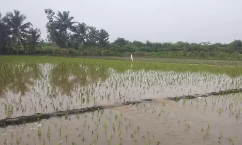 மோகூர் ஏரியில் இருந்து வீணாக வழிந்தோடும் தண்ணீர்