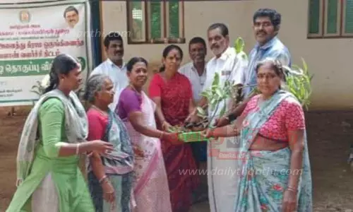 பயனாளிகளுக்கு பழ செடிகள் வினியோகம்