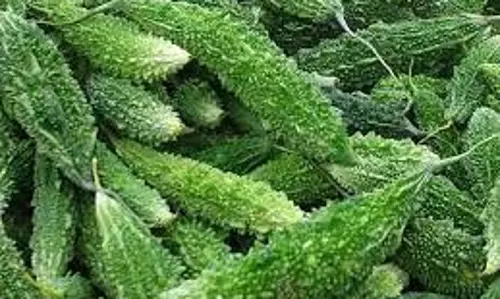 பாகற்காய் விலை கிலோவுக்கு ரூ.6 குறைந்தது பாகற்காய் விலை கிலோவுக்கு ரூ.6 குறைந்தது