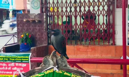 பெருந்துறை கோவில் கருவறைக்குள் சென்று ௨-வது நாளாக அமா்ந்திருந்த காகம்