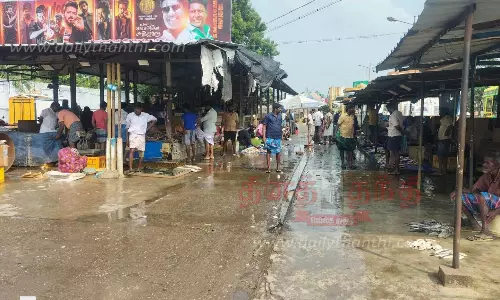 கும்பகோணத்தில் மீன்கள் வாங்க ஆர்வம் காட்டாத பொதுமக்கள்