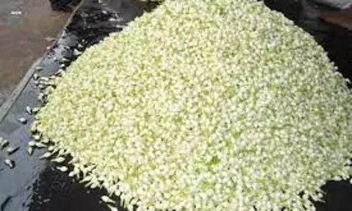 சத்தியமங்கலம் பூ மார்க்கெட்டில்   மல்லிகைப்பூ கிலோ ரூ.640-க்கு ஏலம்