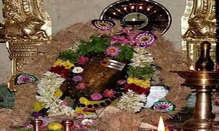 சதுரகிரி சுந்தரமகாலிங்கம் கோயில் வனப்பகுதியில் தங்கி நவராத்திரி விழா நடத்த அனுமதி கிடையாது - நீதிமன்றம்