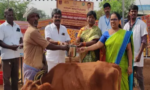 அயிரவன்பட்டியில்சிறப்பு கால்நடை மருத்துவ முகாம் அயிரவன்பட்டியில்சிறப்பு கால்நடை மருத்துவ முகாம்