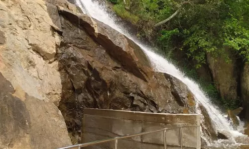 இரட்டை அருவியாக மாறிய மாசிலா அருவி இரட்டை அருவியாக மாறிய மாசிலா அருவி