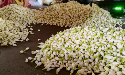 பூக்கள் விலை உயர்வு