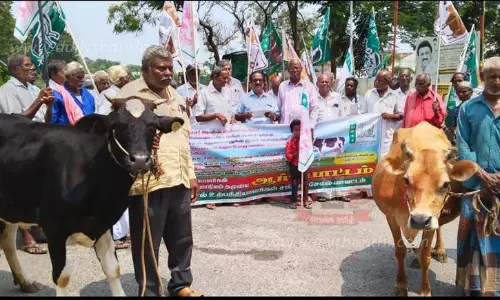 பால் உற்பத்தியாளர்கள் கறவை மாடுகளுடன் ஆர்ப்பாட்டம்