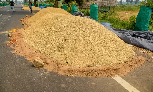 முன்கூட்டியே குறுவை அறுவடை செய்யும் விவசாயிகள்