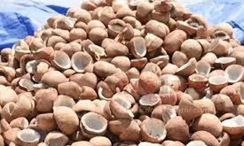 கொடுமுடி ஒழுங்குமுறை விற்பனை கூடத்தில் ரூ.27 லட்சத்துக்கு விவசாய விளைபொருட்கள் ஏலம் கொடுமுடி ஒழுங்குமுறை விற்பனை கூடத்தில் ரூ.27 லட்சத்துக்கு விவசாய விளைபொருட்கள் ஏலம்