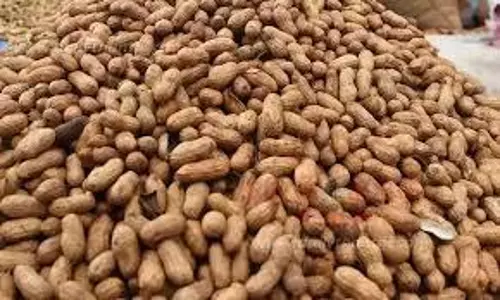 அந்தியூரில் ரூ.2¼ லட்சத்துக்கு நிலக்கடலை விற்பனை