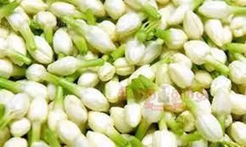 சத்தியமங்கலம் மார்க்கெட்டில் மல்லிகைப்பூ கிலோ ரூ.980-க்கு ஏலம்