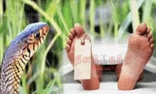 பாம்பு கடித்து பெண் சாவு