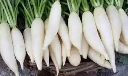 உடுமலையில் ரூ.30...உளுந்தூர்பேட்டையில் ரூ.80... உடுமலையில் ரூ.30...உளுந்தூர்பேட்டையில் ரூ.80...