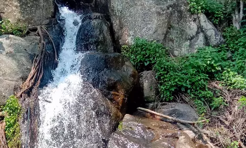 பெரும்பாறை அருகே மலைப்பாதையில் தோன்றிய திடீர் அருவிகள்