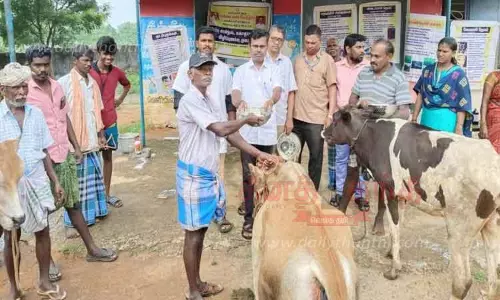 பொட்டல்புதூரில் கால்நடை மருத்துவ முகாம் பொட்டல்புதூரில் கால்நடை மருத்துவ முகாம்