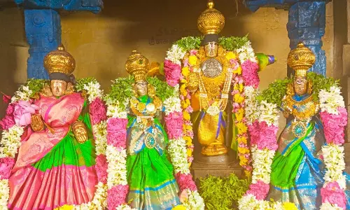 அரங்கநாதர் சிறப்பு அலங்காரத்தில் காட்சி