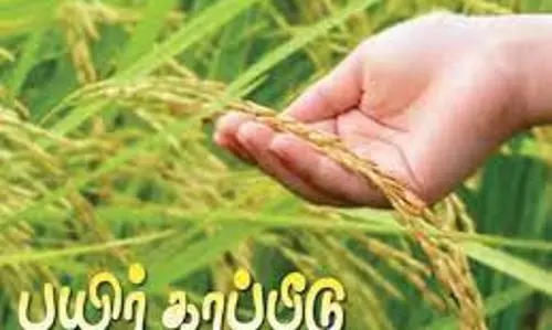 பயிர்களுக்கு காப்பீடு செய்ய வேண்டும் பயிர்களுக்கு காப்பீடு செய்ய வேண்டும்