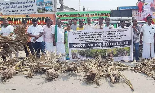 சாலைப்பணிக்காக பனங்கன்றுகள் அகற்றப்பட்டதை கண்டித்து ஆர்ப்பாட்டம்