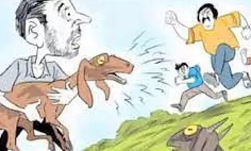 அம்மாபேட்டை அருகே ஆடு திருடிய 2 பேர் கைது