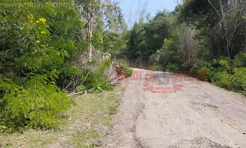 பர்கூர் மலைப்பகுதியில் பழுதடைந்த சாலையை சீரமைக்க கோரிக்கை