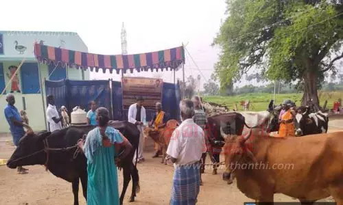 கால்நடை மருத்துவ முகாம் கால்நடை மருத்துவ முகாம்