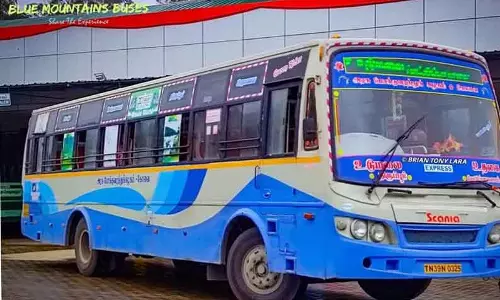 திருப்பூரில் இருந்து வெளியூர்களுக்கு 145 சிறப்பு பஸ்கள் திருப்பூரில் இருந்து வெளியூர்களுக்கு 145 சிறப்பு பஸ்கள்