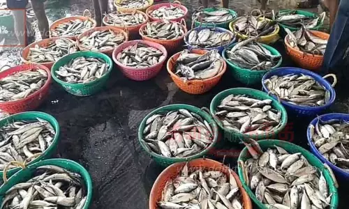 தூத்துக்குடியில் மீன்கள் விலை குறைந்தது