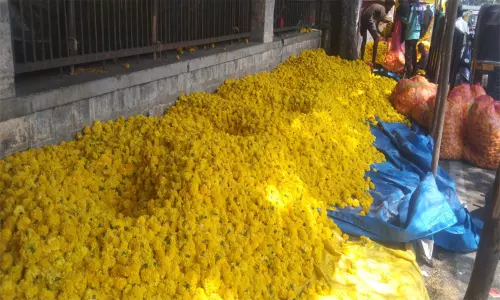 பூக்கள், பழங்கள் விற்பனை படுஜோர் பூக்கள், பழங்கள் விற்பனை படுஜோர்