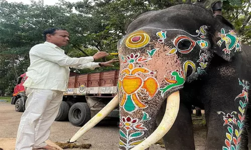 யானைகளை ஓவியங்களால் அழகுபடுத்தும் பணி