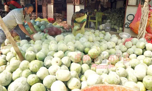 ஈரோட்டில் ஆயுதபூஜையை முன்னிட்டு வெள்ளை பூசணி விற்பனை அமோகம் பூ தொடுக்கும் பணி விறுவிறுப்பு ஈரோட்டில் ஆயுதபூஜையை முன்னிட்டு வெள்ளை பூசணி விற்பனை அமோகம் பூ தொடுக்கும் பணி விறுவிறுப்பு