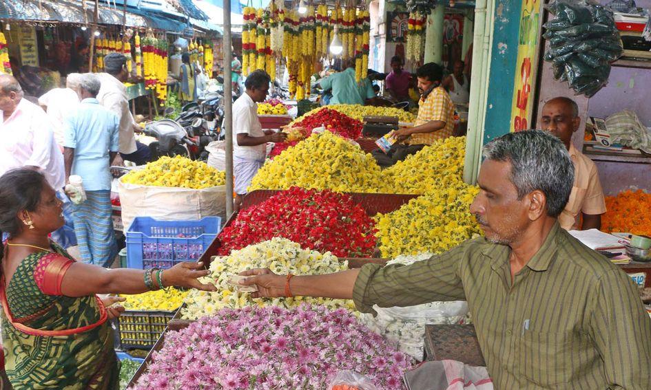 The price of flowers has doubled பூக்கள் விலை இருமடங்கு உயர்வு