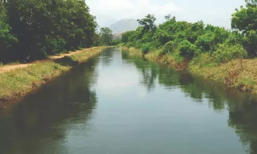 மடத்துக்குளம் பகுதியில் என்ன பயிர் சாகுபடி செய்யலாம்? மடத்துக்குளம் பகுதியில் என்ன பயிர் சாகுபடி செய்யலாம்?