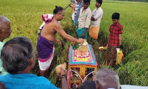 திருமலை கோவிலில் நாள் கதிர் திருவிழா