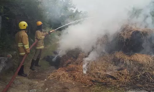 வைக்கோல் போர் திடீரென தீப்பற்றி எரிந்தது வைக்கோல் போர் திடீரென தீப்பற்றி எரிந்தது