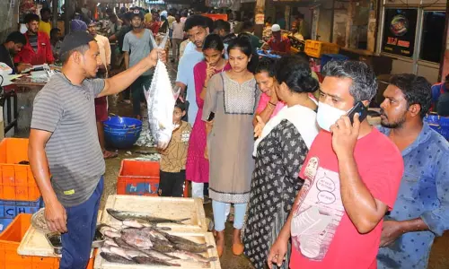 வேலூர் மீன்மார்க்கெட்டில் குவிந்த அசைவ பிரியர்கள் வேலூர் மீன்மார்க்கெட்டில் குவிந்த அசைவ பிரியர்கள்