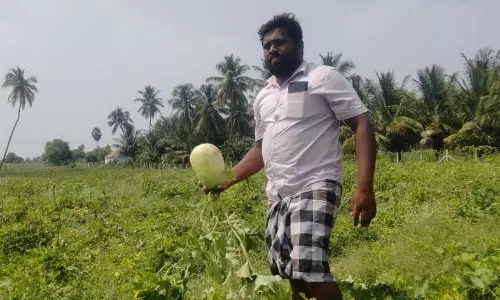 போலி விதை என்று விவசாயி குற்றச்சாட்டு போலி விதை என்று விவசாயி குற்றச்சாட்டு