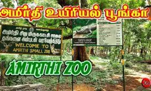 அமிர்தி பூங்கா நாளை திறந்திருக்கும் அமிர்தி பூங்கா நாளை திறந்திருக்கும்