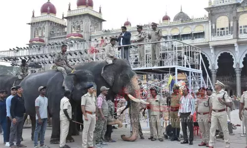 49 அலங்கார ஊர்திகள், 55 கலைக்குழுவினரின் அணிவகுப்புடன் மைசூருவில் நாளை தசரா ஊர்வலம்