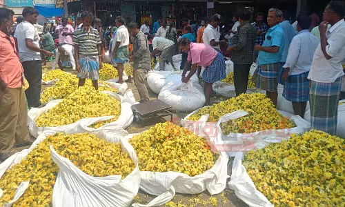தர்மபுரி நகரில்ஆயுத பூஜை பொருட்கள் விற்பனை மும்முரம்பூக்கள் விலை உயர்ந்ததால் வியாபாரிகள் மகிழ்ச்சி தர்மபுரி நகரில்ஆயுத பூஜை பொருட்கள் விற்பனை மும்முரம்பூக்கள் விலை உயர்ந்ததால் வியாபாரிகள் மகிழ்ச்சி