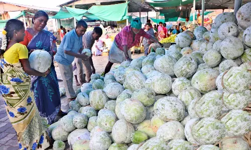 கடைவீதிகளில் பூஜை பொருட்கள் வாங்க குவிந்த மக்கள் கடைவீதிகளில் பூஜை பொருட்கள் வாங்க குவிந்த மக்கள்