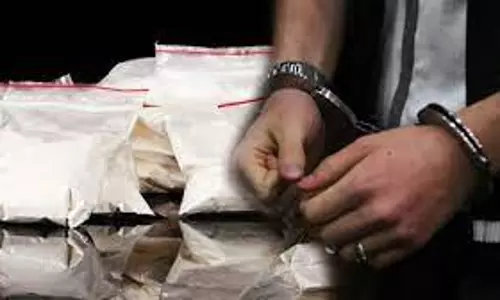 மராட்டியத்தில் அதிரடி சோதனை; ரூ.250 கோடி போதைப்பொருள் பறிமுதல்