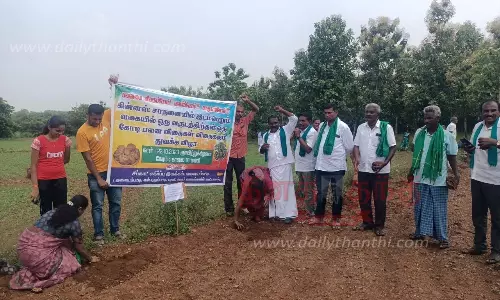 1 கோடி பனை விதைகள் நடும் திட்டம் தொடங்கியது