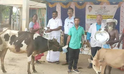 கால்நடை மருத்துவ விழிப்புணர்வு முகாம் கால்நடை மருத்துவ விழிப்புணர்வு முகாம்