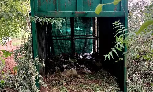 அறச்சலூர் பகுதியில் மீண்டும் அட்டகாசம்:  மர்ம விலங்கு ஆட்டை இழுத்து சென்றதால் பரபரப்பு  கூண்டு வைத்து பிடிக்க நடவடிக்கை